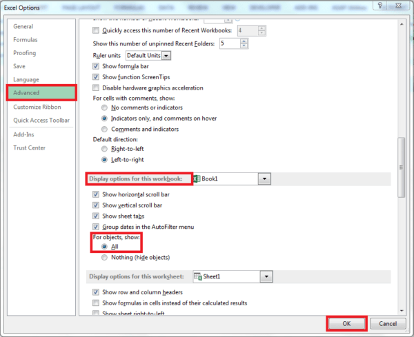 Enable Display Options in Excel to All (with Images)